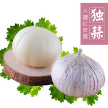 【云南农产品】云南农产品价格/图片_云南农产品批发/采购_云南农产品厂家/供应商