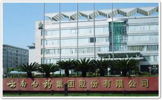 千年昆明仅存七家百年老店 匠心不易